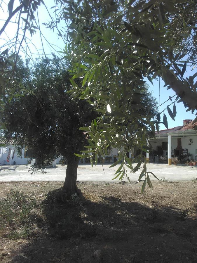Quintinha Dos Pombinhos Holiday home