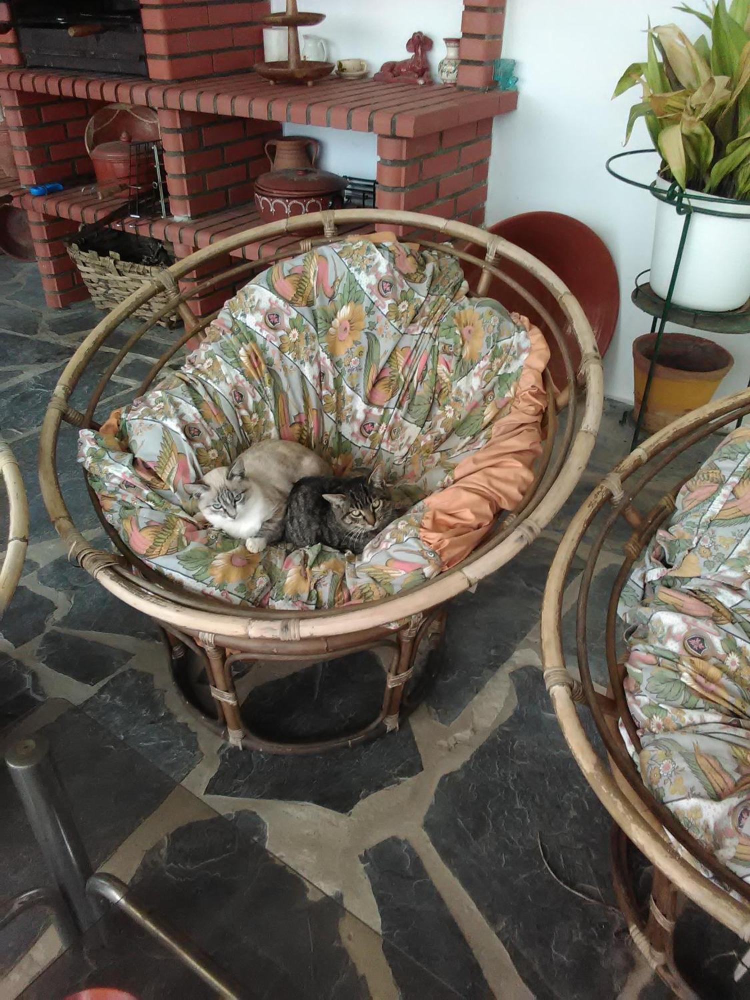 Сasa de vacaciones Quintinha Dos Pombinhos Montoito